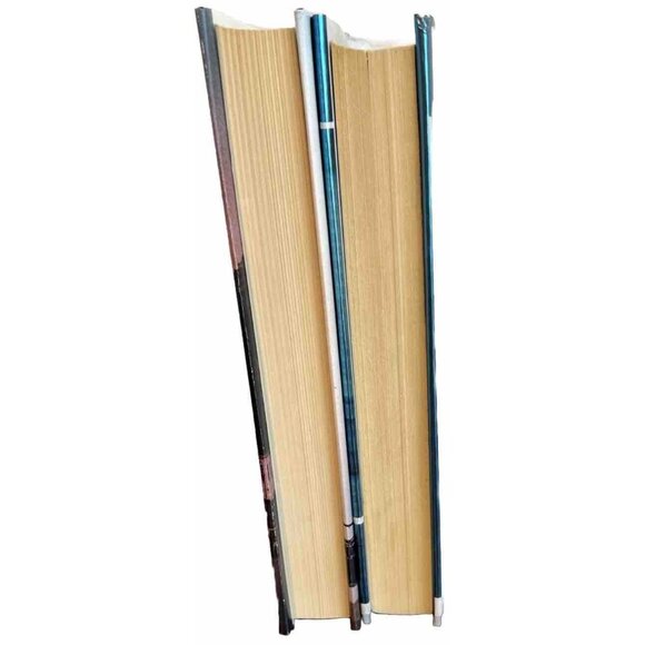 Andrew Gross 1st Edition Hardcover Books (Set of 2) Reckless & Button Man - Picture 4 of 5